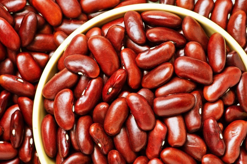 A red bean variety. PHOTO/Photo generated by AI