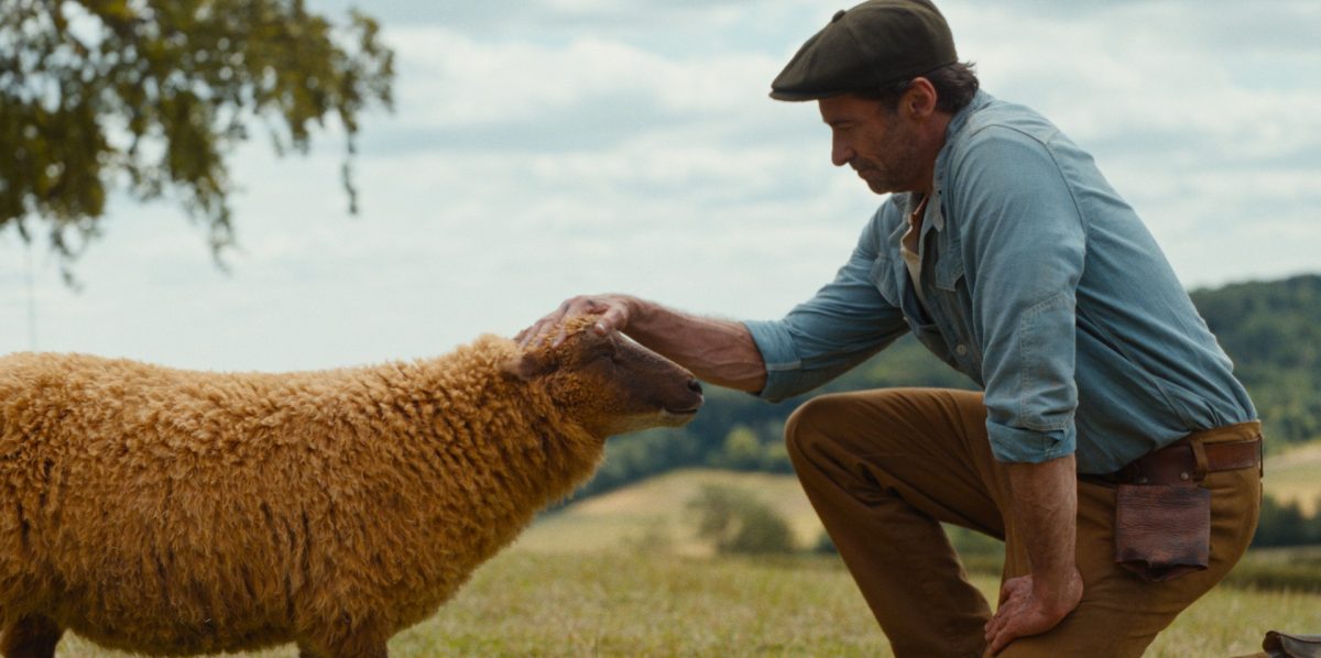 'The Sheep Detectives