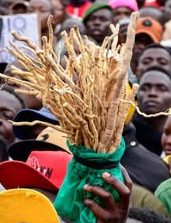 Someone holding a bunch of Mukombero during a past event. PHOTO/https://web.facebook.com/elsa.wasainah