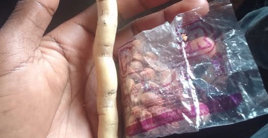 What is Mukombero and why do people chew it?