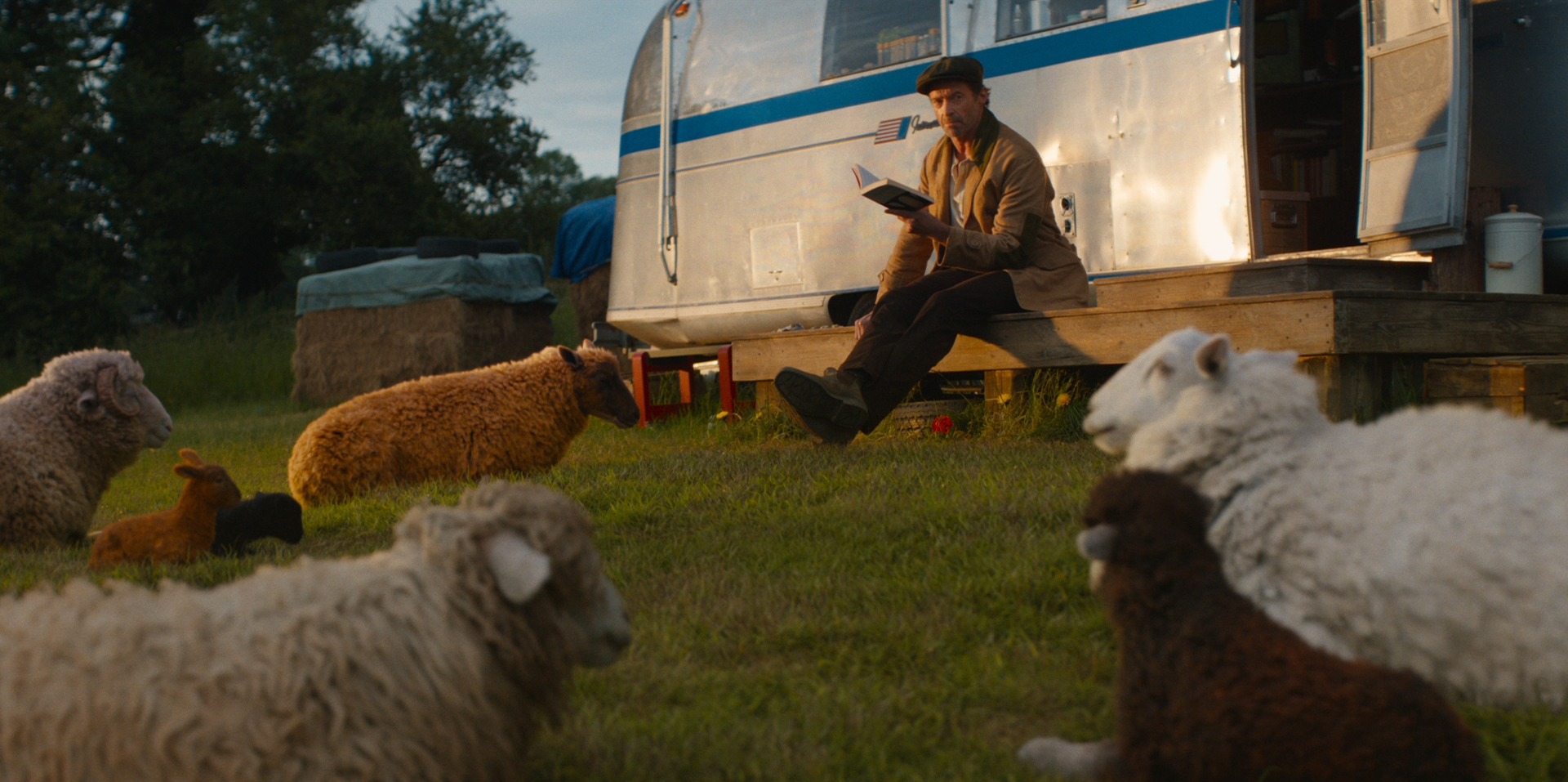 The Sheep Detectives review: Twisty Murder mystery solved by set of farm animals