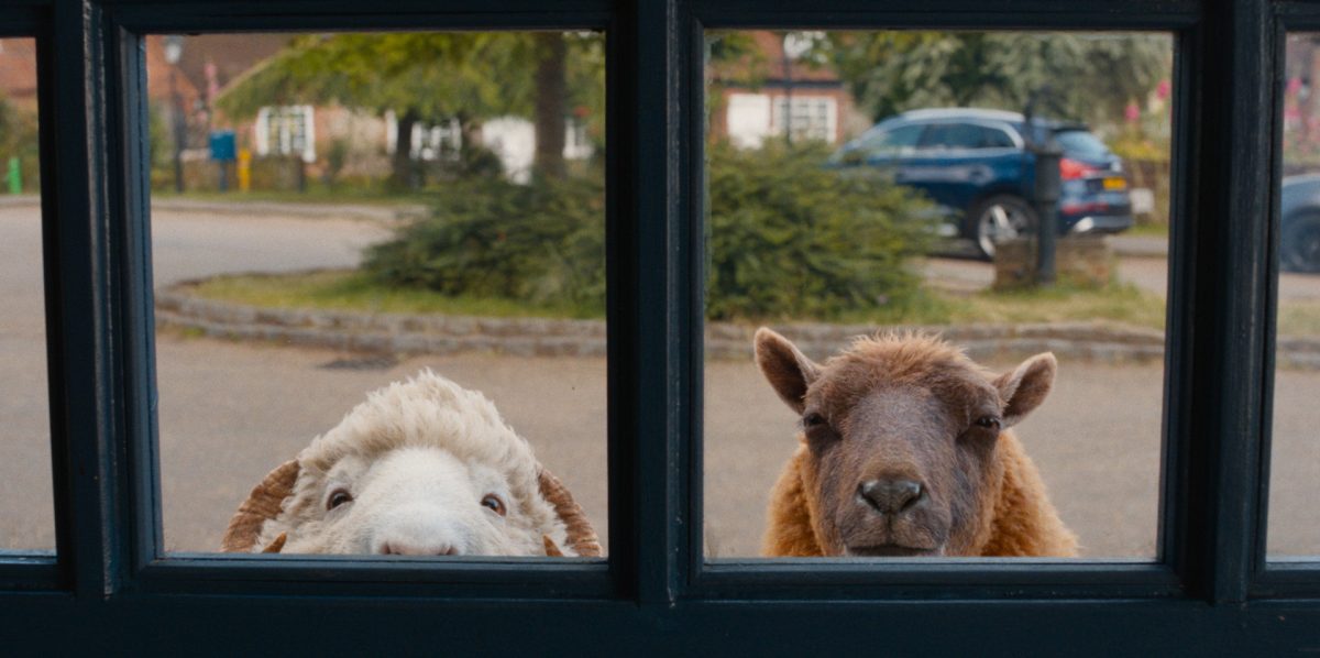 'The Sheep Detectives. PHOTO/https://www.facebook.com/Company3