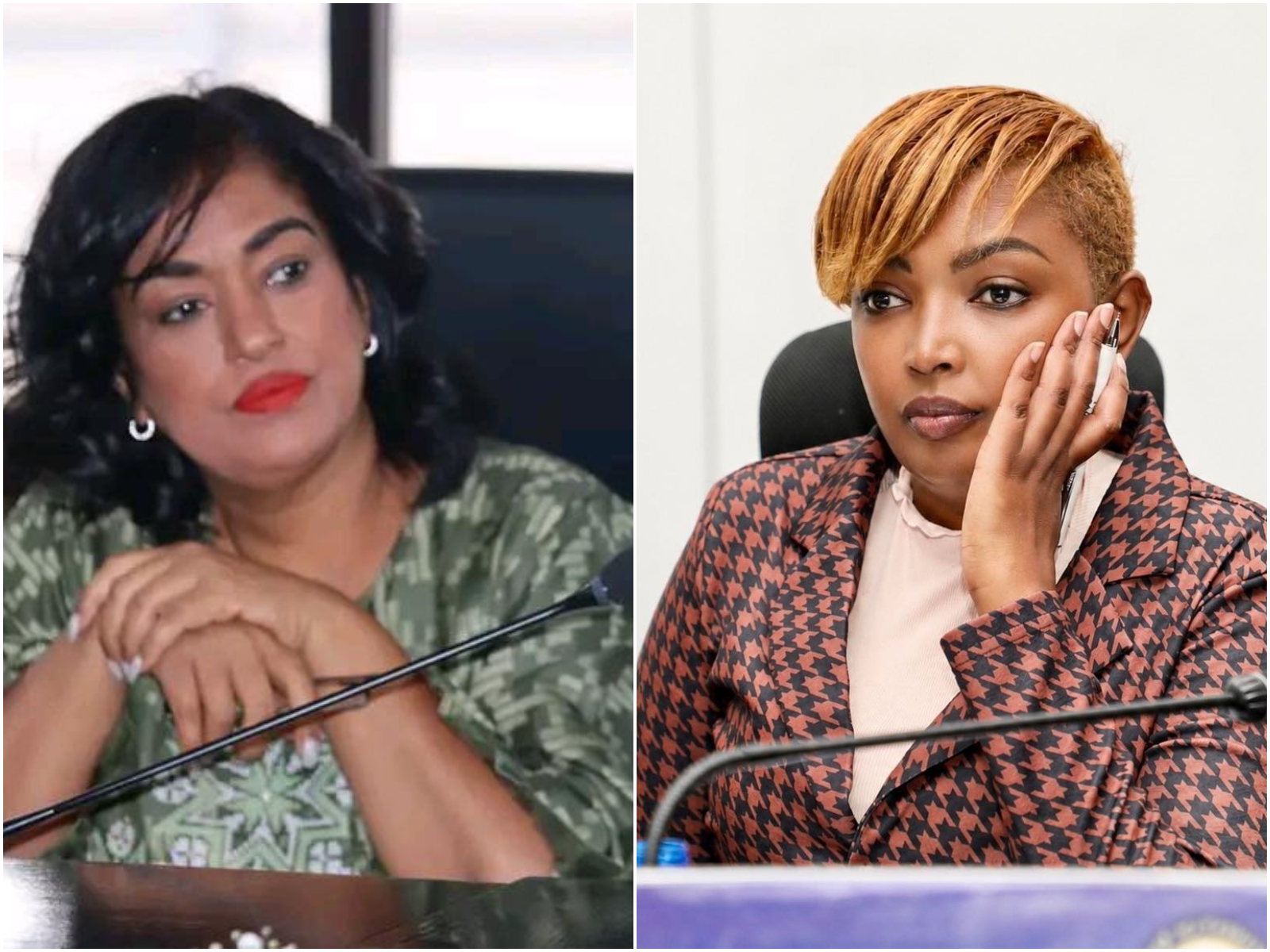 Passaris calls for protection of student after Karen Nyamu’s senate remarks generate uproar