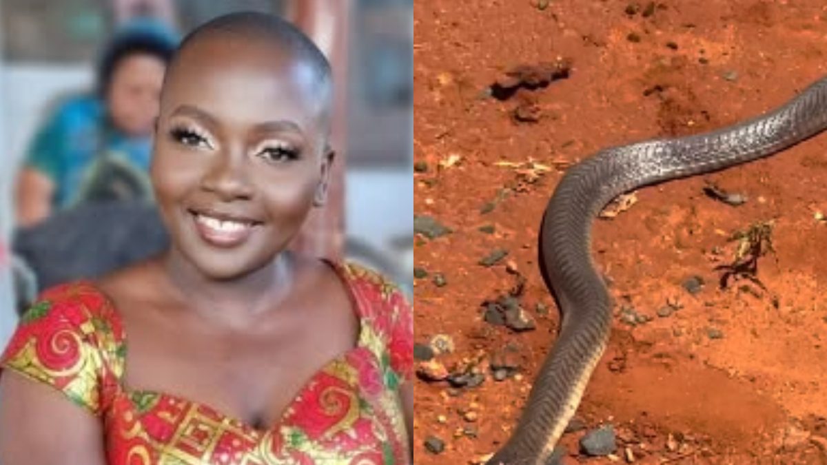 Nyota Ndogo fears spiritual attacks after spotting another snake at her compound