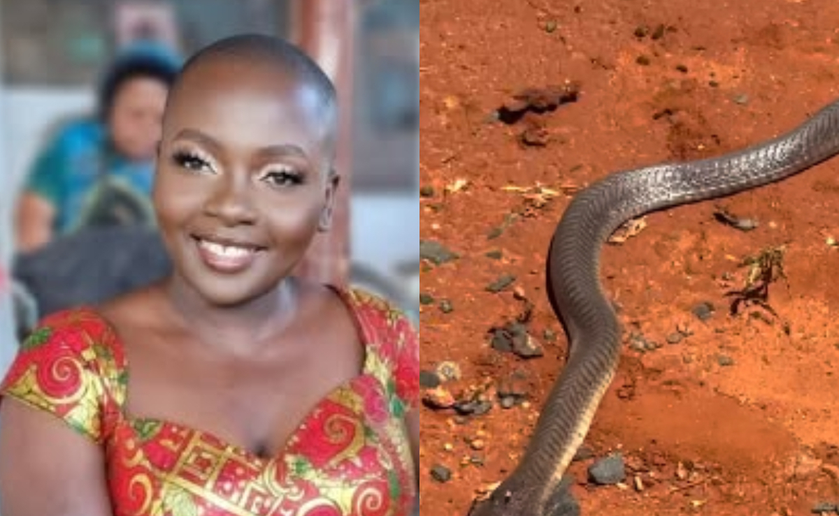 Nyota Ndogo fears spiritual attacks after spotting another snake at her compound