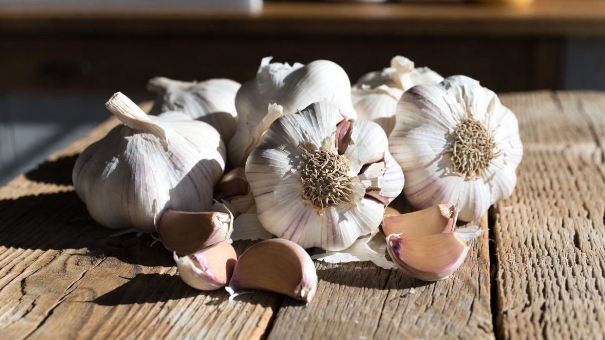 Health benefits of eating garlic