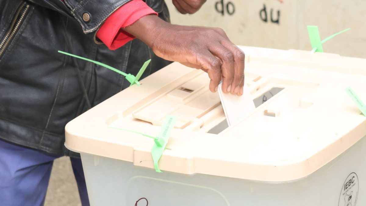 Profitable business ideas during by-elections in Kenya
