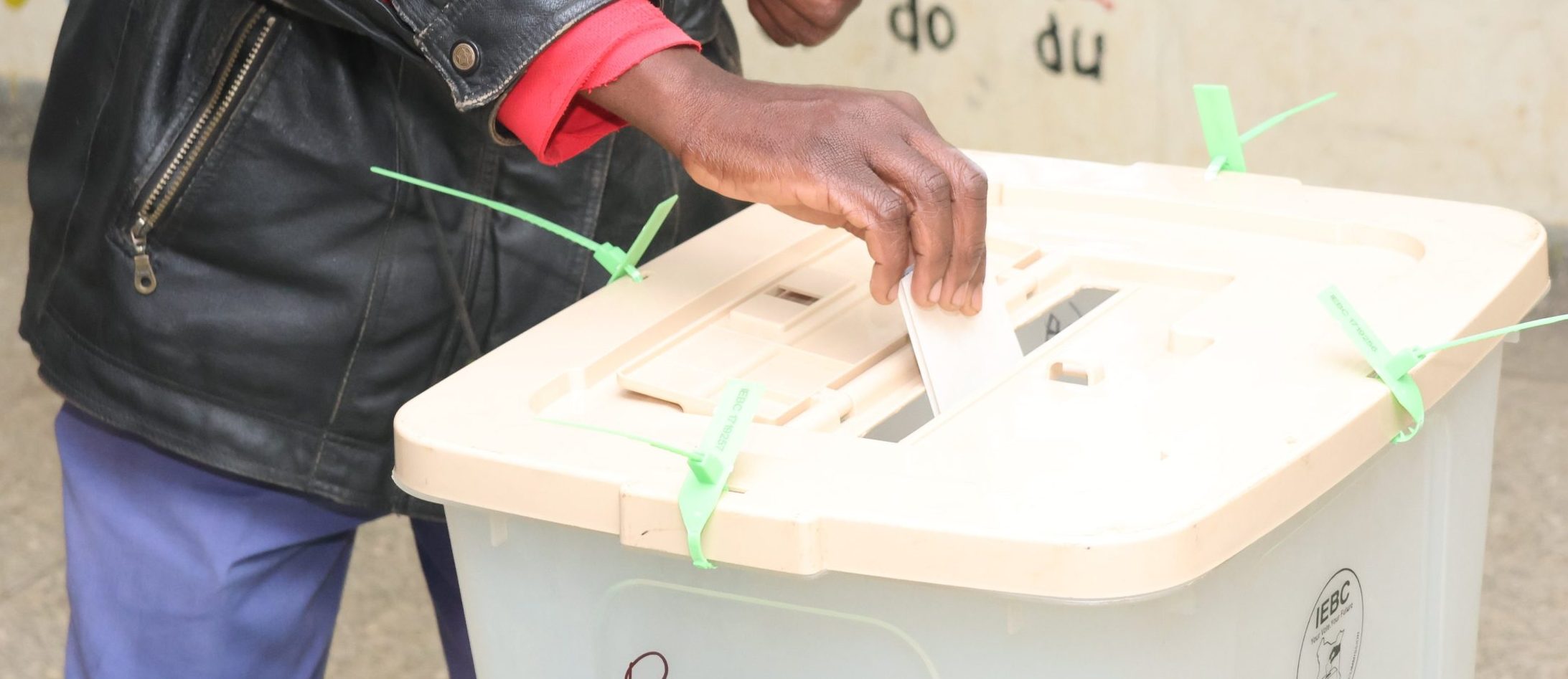 Profitable business ideas during by-elections in Kenya