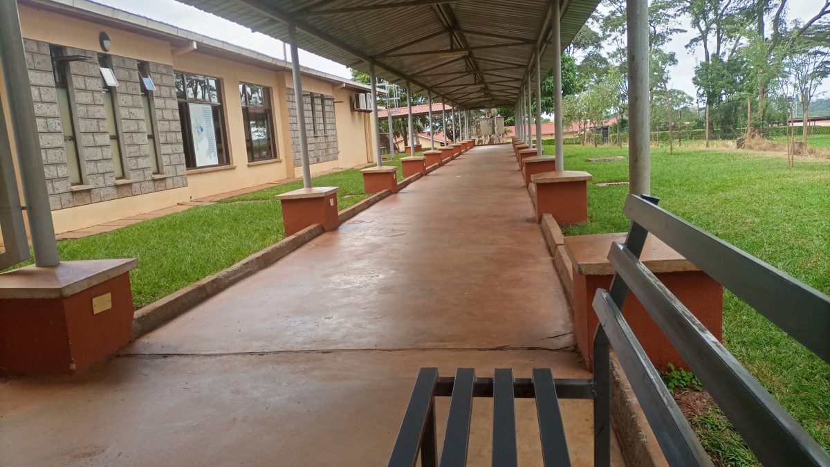 A pathway of an institution. PHOTO/David Nthua