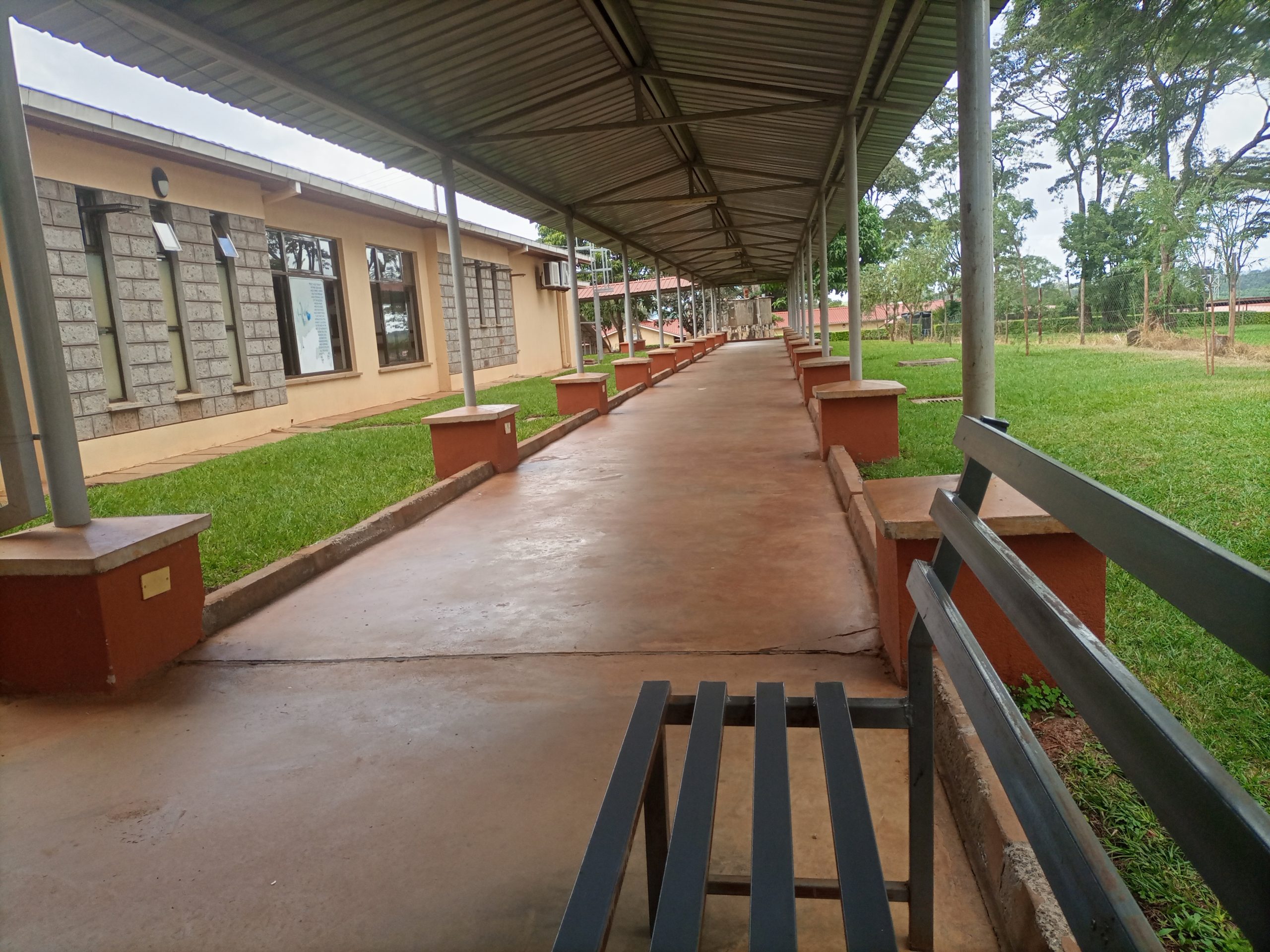 How pathways and landscaping can transform a small compound