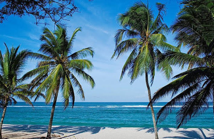 Summertides: Beach safety tips every swimmer should know