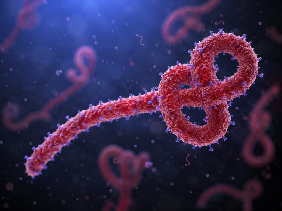 AI-generated image of Ebola virus. PHOTO/Photo generated by AI