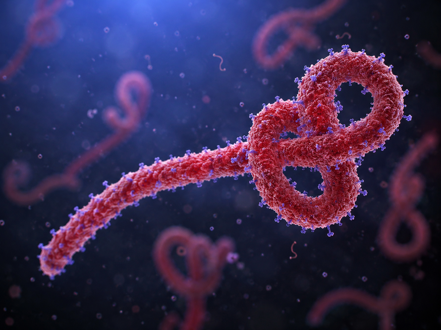 Patient tested for suspected Ebola virus at Glasgow hospital
