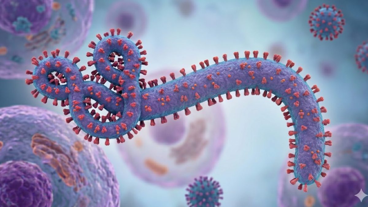 Signs and symptoms of Ebola
