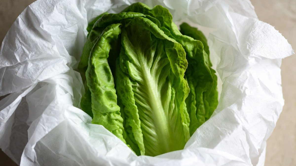 Lettuce wrapped in paper towel. PHOTO/Grok