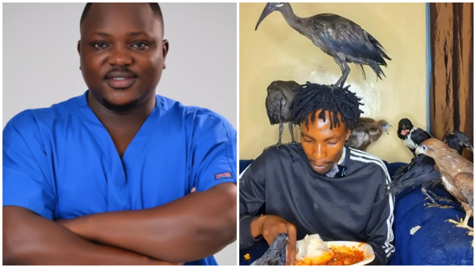 KMPDU's Miskellah raises alarm over Nairobi Birdman eating with wild birds