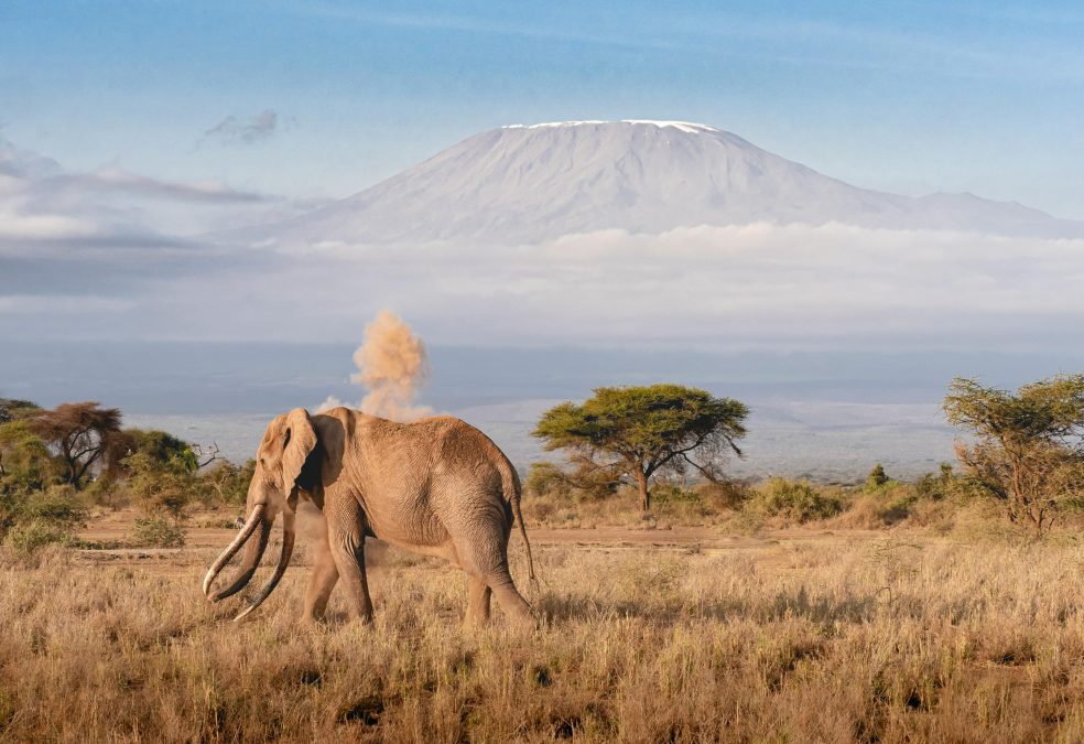A view of Mount Kilimanjaro, in Tanzania. 
