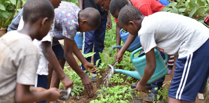 Children take part in a conservation activity by watering plants as they learn about environmental protection.