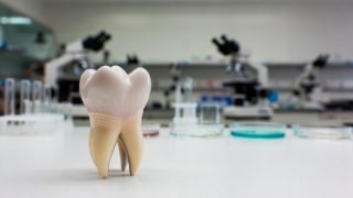 Lab-grown teeth could soon replace fillings and implants