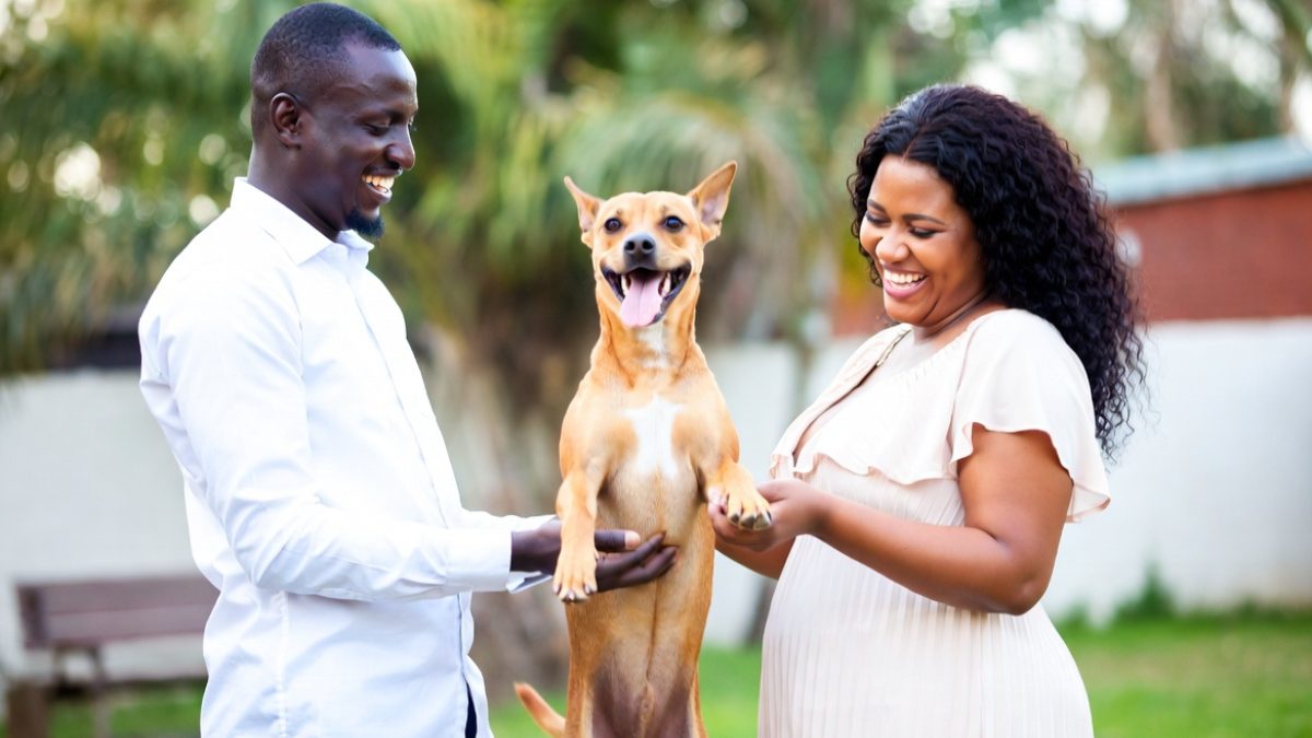 The truth about the pressure to become a pet parent