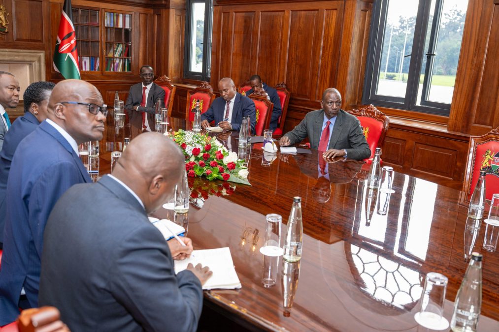 William Ruto during the briefing at State House, Nairobi, on the progress of the programme 