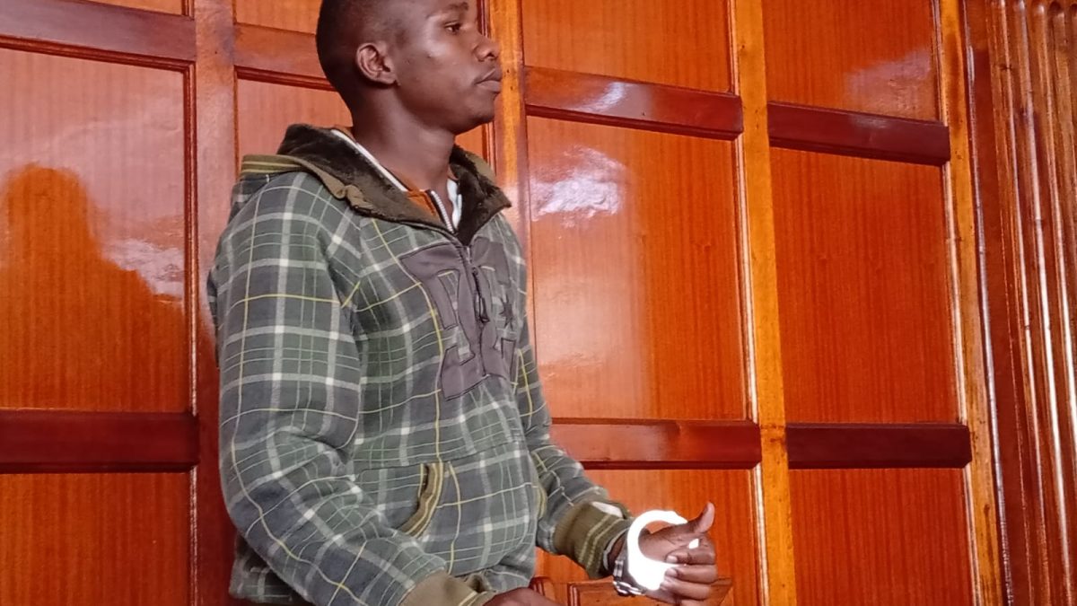 TikToker pleads guilty to offensive conduct charge over George Ruto video