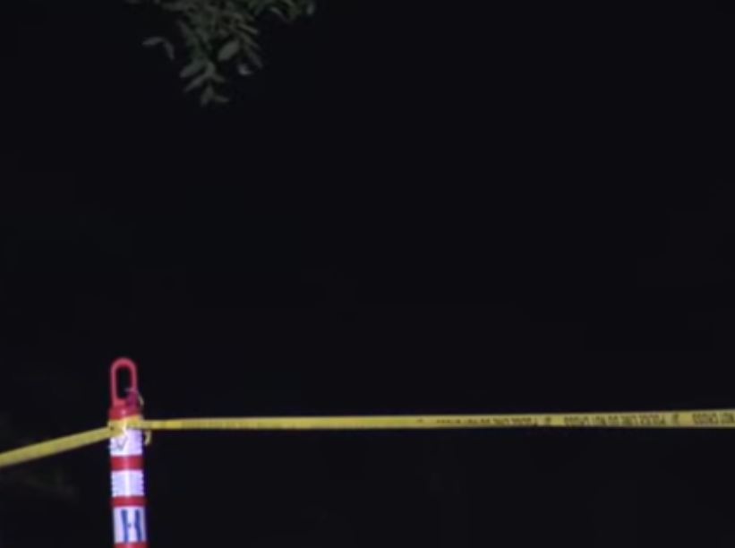 5 die in attempt to save struggling swimmer