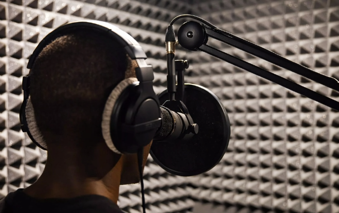 Artists face royalty payment delays after music copyright body is suspended