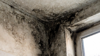 How to remove mould from bathroom walls permanently