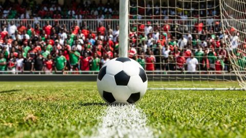 A football resting precisely on the goal line during a high-stakes match.