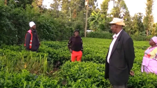 Kirinyaga village shaken as mysterious cries emerge from woman’s grave after ancestral land is sold