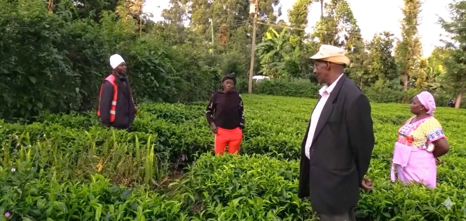 Kirinyaga village shaken as mysterious cries emerge from woman’s grave after ancestral land is sold