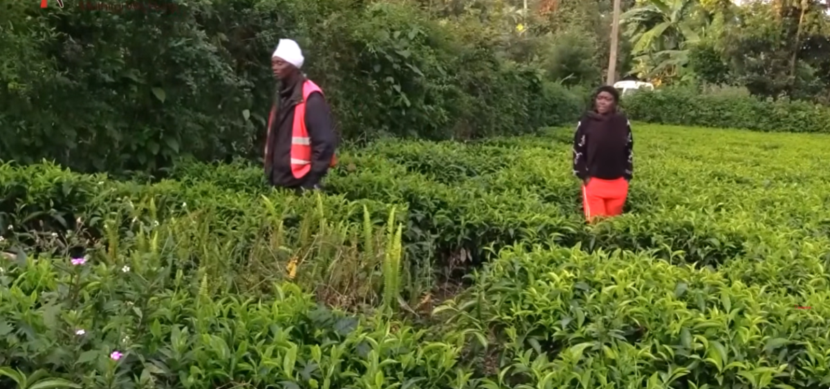 Kirinyaga locals stare in shock at the grave where the cries have been coming from. PHOTO/Screengrab by K24 Digital of Youtube video by Kameme TV.