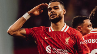 Tottenham interested in signing Liverpool forward Cody Gakpo