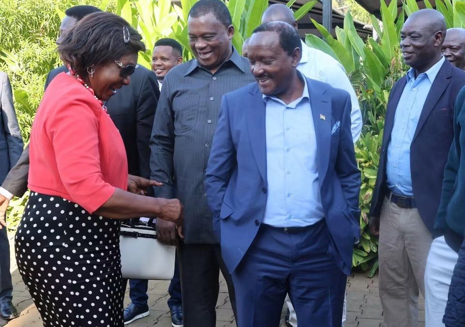 Bag ni ya nini? Charity Ngilu, Kalonzo jump on viral trend at Wamalwa Kijana’s memorial