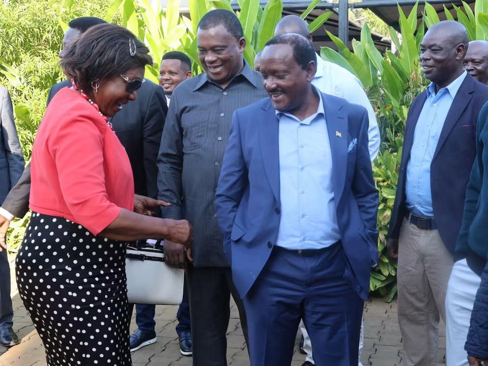 Bag ni ya nini? Charity Ngilu, Kalonzo jump on viral trend at Wamalwa Kijana's memorial