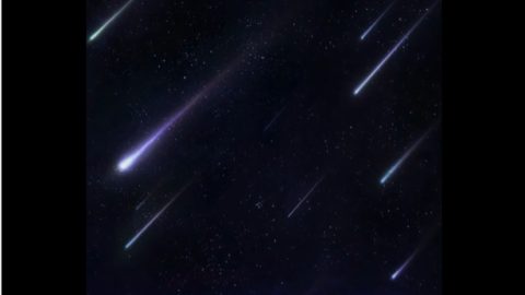 Perseid Meteor Shower