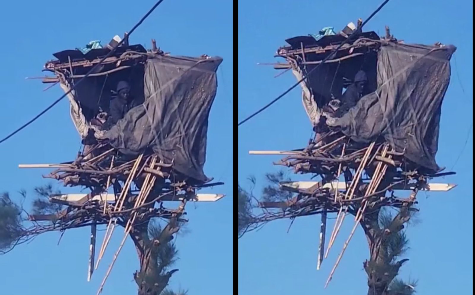 Mosiria seeks help to rescue another man living on a tree