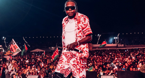 Vybz Kartel declares himself Kenyan during Reggae Land 2026 performance in UK