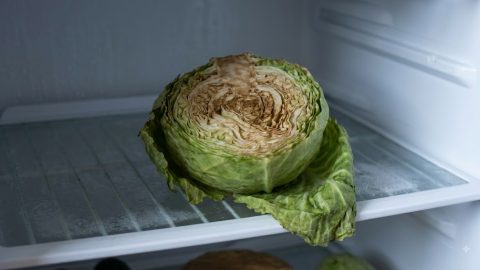 How to keep cut cabbage fresh in the fridge