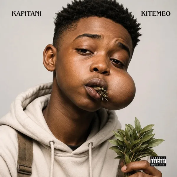 Cover image of Kapitani Kitemeo viral song. PHOTO/https://doba.co.ke/kapitani-kitemeo-lyrics/