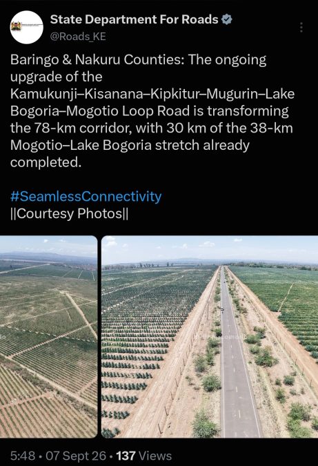 Post by State Department for Roads. Photo/Screengrab by K24 Digital from X/@Roads_KE
