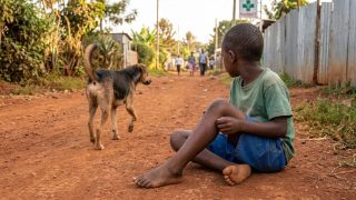 World Rabies Day: What to do in the first 10 minutes after a dog bite