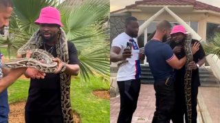 Ommy Dimpoz: Tanzanian singer nearly faints after huge snake is placed on his shoulders