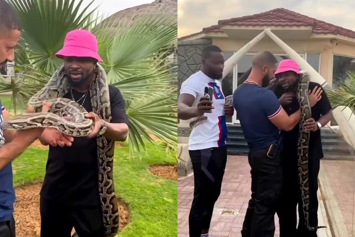 Ommy Dimpoz: Tanzanian singer nearly faints after huge snake is placed on his shoulders