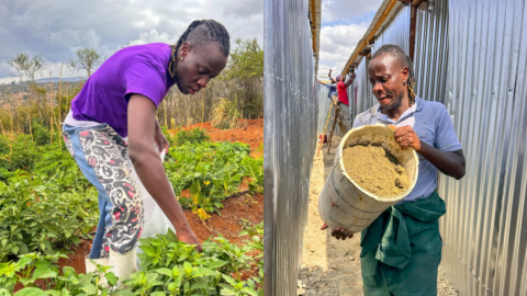 Guardian Angel promises tenants free vegetables as he enters rental business