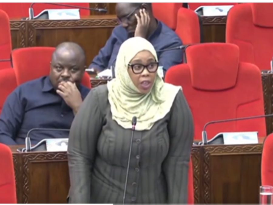 Hon Wanu Hafidh Ameir.speaking in Tanzania Cabinet