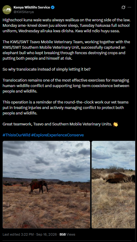 Post by KWS. PHOTO/Screengrab by K24 Digital from X/@KWSKenya