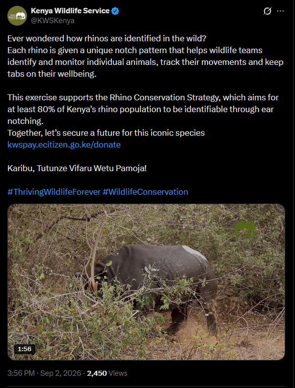 Post by KWS. PHOTO/Screengrab by K24 Digital from X/@KWSKenya