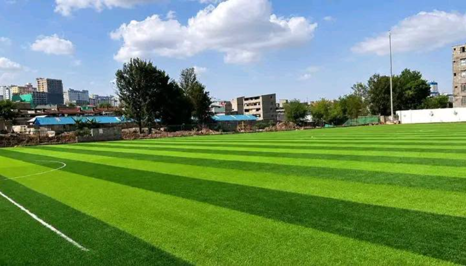The current state of Nairobi's Kamukunji Grounds with synthetic turf. PHOTO/https://www.facebook.com/profile.php?id=61556873132819